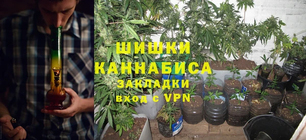 твердый Абаза