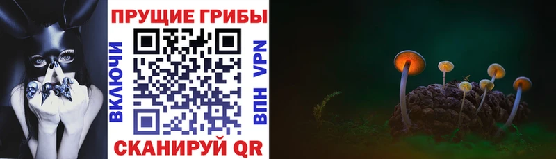Псилоцибиновые грибы прущие грибы  Углегорск 